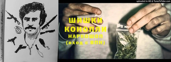 ГАЛЛЮЦИНОГЕННЫЕ ГРИБЫ Алексеевка