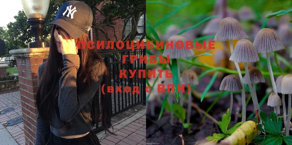 ГАЛЛЮЦИНОГЕННЫЕ ГРИБЫ Алексеевка