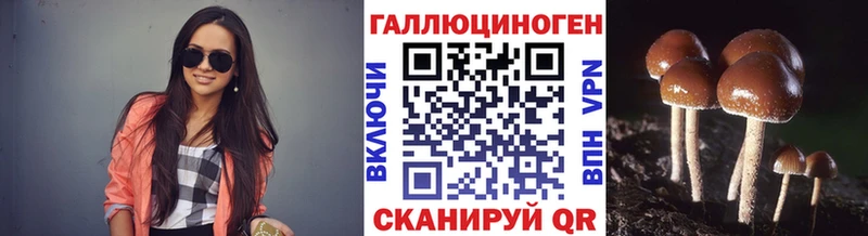 МЕГА ТОР  Советская Гавань  Псилоцибиновые грибы Psilocybe 